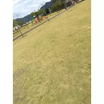 かおり