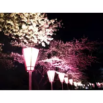 はづき