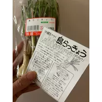 香川 ゆい