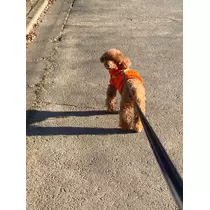 サリナ