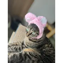 ぽめ・らにあん