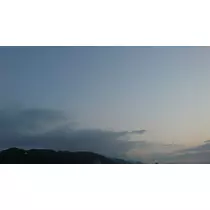 らん