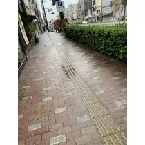 かえで