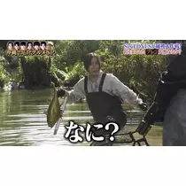 七星 夏純