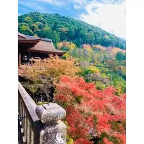 ゆかり