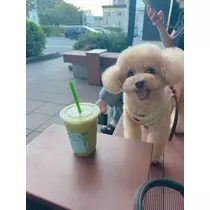 夏目 梨仔