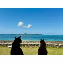 ねね