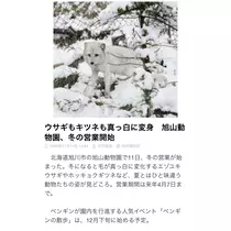 七星 夏純