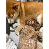 みり