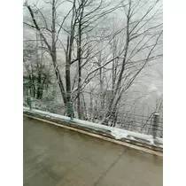 きょう