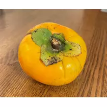 さくら