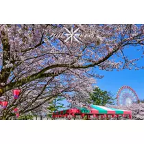 神崎　唯