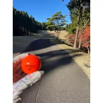 美月
