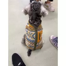 天月 あすな