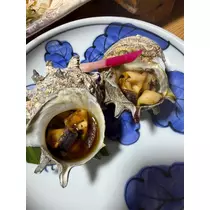 七星 舞冬