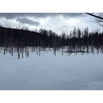 香川 ゆい