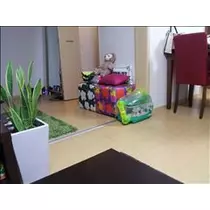 桃瀬 百華