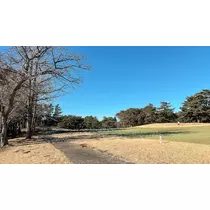 あすか