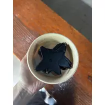 かびるんるんさわ