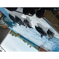 あい