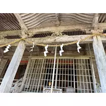 橘 美咲