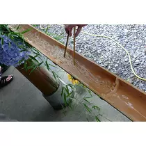 七星 夏純