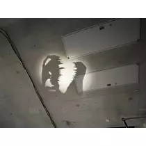 あおい