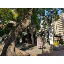 エミ （スタッフ）