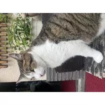 らら