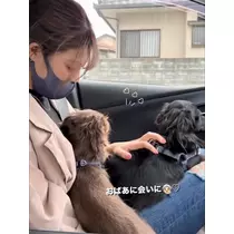 七星 舞冬