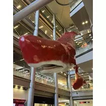 七星 夏純
