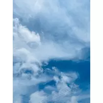 ゆかり