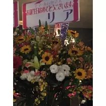 蓮見 リア