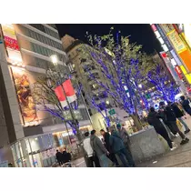 あいる