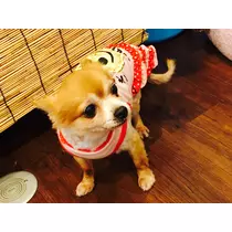 のあ
