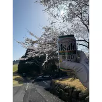 美月