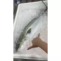 ゆうか