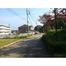 恵里