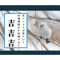 ひな