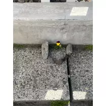 結城 かなの