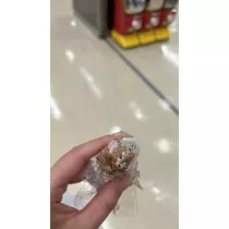 神永 莉聖