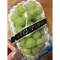 白石 愛莉