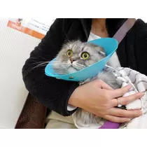 りか