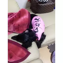 りえ
