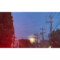 愛羽 仁美