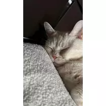 のぞみ
