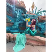 姫花