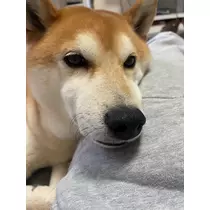 みり