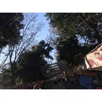さおり