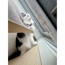 くるみ